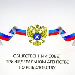 Общественный совет при Росрыболовстве вошел в пятерку лучших общественных советов при федеральных агентствах
