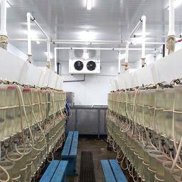 Новое холодильное оборудование подключено к 48 аппаратам Вейса. Фото пресс-службы ВНИРО