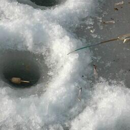 Желание поймать корюшку или навагу во что бы то ни стало может обернуться трагедией. Архивное фото