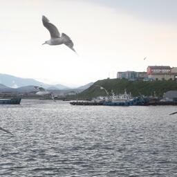 Минвостокразвития готовит единый преференциальный режим на Дальнем Востоке. Архивное фото