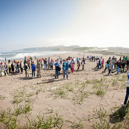 Акция «Чистый берег» в прошлом году. Фото пресс-службы фонда «Родные острова»