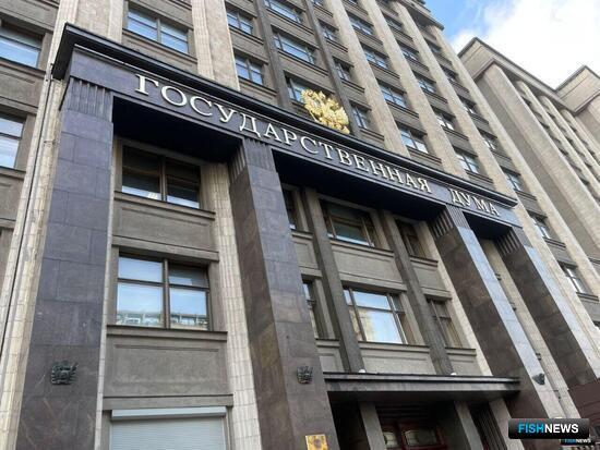 Дума поддержала изменения по контролю иностранного участия в рыбной отрасли