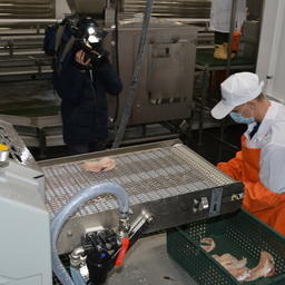 Завод планирует производить филе минтая