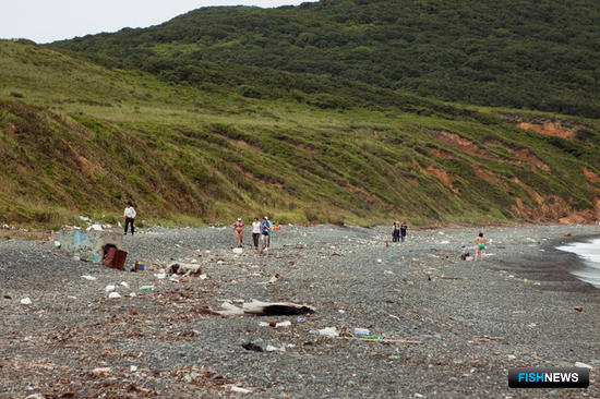 На берег бухты Восточной острова Рикорда море выносит мусор в особо крупных объемах. Фото организаторов ПОВС