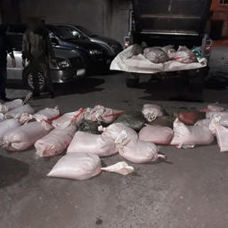 В кузове внедорожника полицейские обнаружили более 1,2 тонны икры-сырца. Фото пресс-службы МВД России