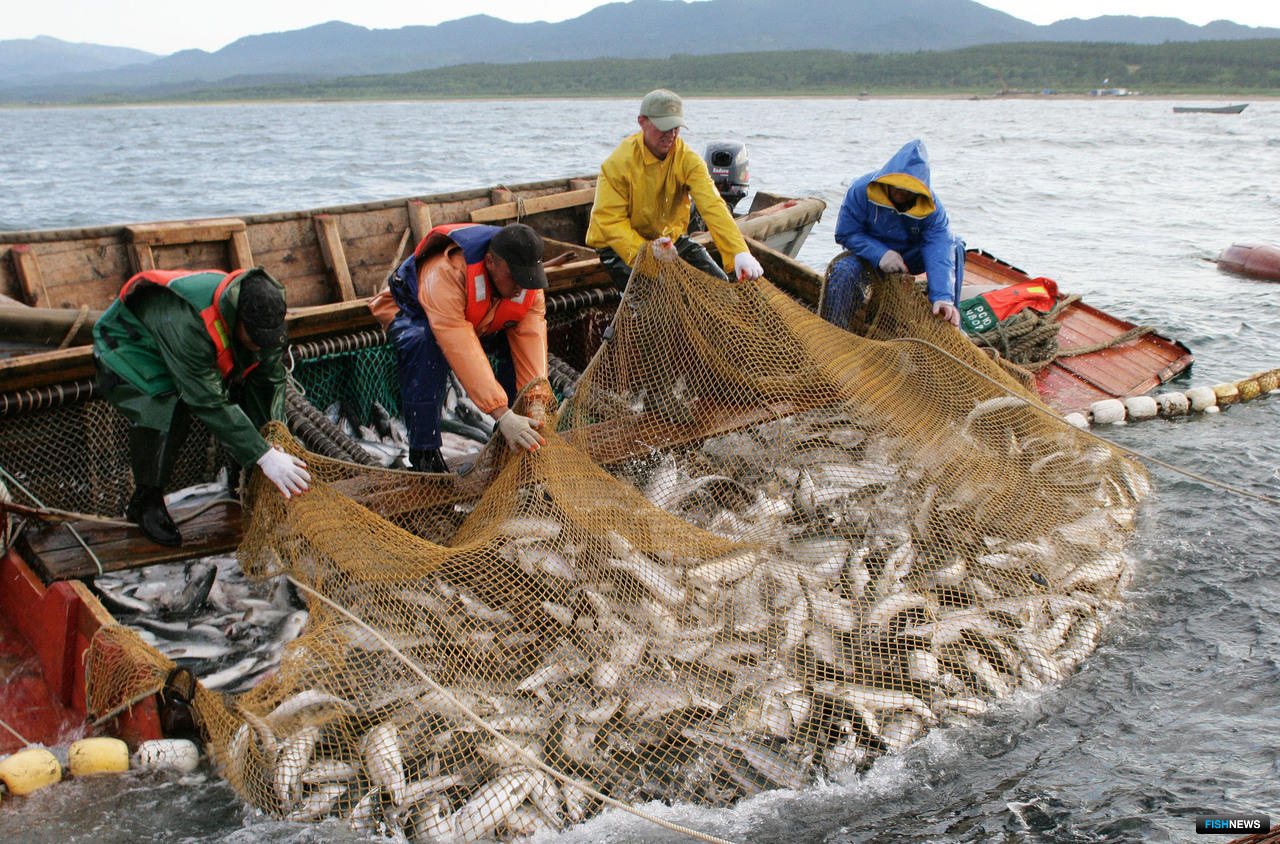 Рыбное хозяйство Сахалин