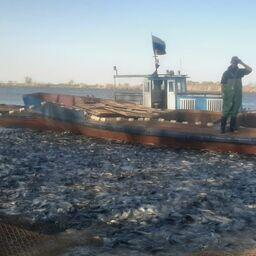 В Астраханской области начался весенний промысел. Фото пресс-службы ВНИРО