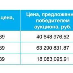 По результатам аукциона было получено 255 млн. руб. Всю прибыль аукциона принесла продажа трех лотов