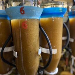 Сейчас в инкубационных аппаратах предприятия зреет 77,8 млн живых икринок байкальского омуля. Фото пресс-службы Главрыбвода