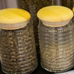 Осетроводам Нижнего Поволжья частично компенсируют затраты на корма