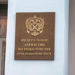 Росрыболовство распределило по видам квот объемы, предоставленные России в рыболовной зоне Фарер, а также по итогам сессии НАФО на предстоящий год