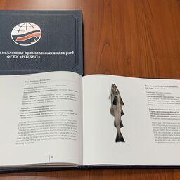 Новый музей-альбом рыб, созданный НЦБРП. Фото пресс-службы учреждения