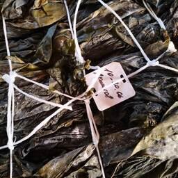 Бизнес и власти Республики Карелия с нескрываемым интересом присматриваются к возможности добычи и переработки водорослей Белого моря. Фото предоставлено Союзом рыбопромышленников Карелии