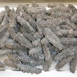 Партию сушеного трепанга иностранные туристы пытались вывезти в Китай. Фото пресс-службы ФТС России