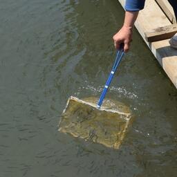 Среди победителей конкурса грантов оказались проекты «рыбного» направления