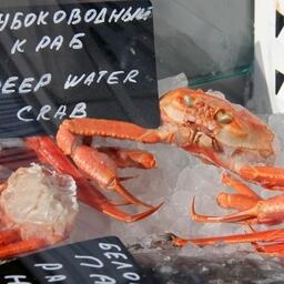 Росрыболовство вновь выставило на торги доли квот глубоководных крабов