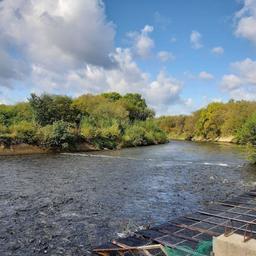В Главрыбводе отметили эффективность мер по охране рек на Сахалине. Фото с сайта учреждения