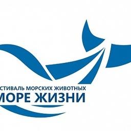 Экологическому фестивалю морских животных «Море жизни» присвоен статус официального праздника Камчатского края