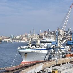 Разгрузка судна с рыбопродукцией в порту Владивостока