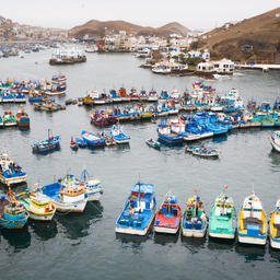Перуанские рыбацкие лодки в гавани Пукусана, провинция Лима. Фото Undercurrent News