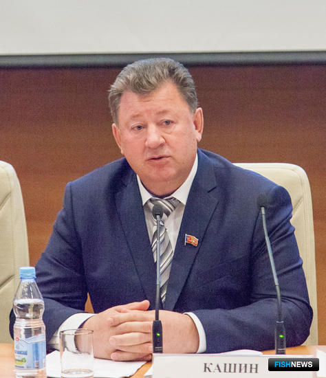 Председатель комитета ГД по природным ресурсам, природопользованию и экологии Владимир КАШИН