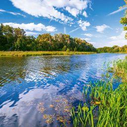 Для оздоровления реки Дон Ростовская область предложила 239 мероприятий. Фото пресс-службы регионального кабмина