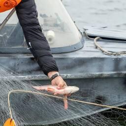 В Ненецком автономном округе планируется создать новые участки для любительского рыболовства. Фото из соцсети «ВКонтакте» губернатора Юрия Бездудного