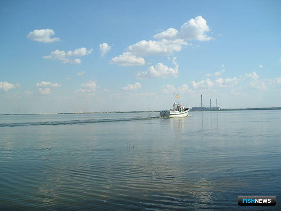Ириклинское водохранилище в Оренбургской области, где было совершено правонарушение. Фото Valeriy29 («Википедия»)
