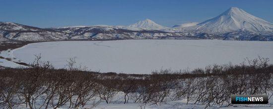 Курильское озеро полностью покрылось льдом впервые за 10 лет. Фото Андрея Габова