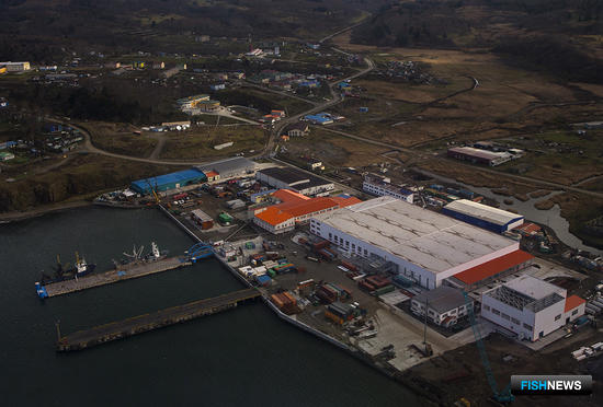 На Шикотане строят современный рыбоперерабатывающий комплекс мощностью 1000 тонн сырья в сутки. Фото предоставлено агентством по рыболовству Сахалинской области