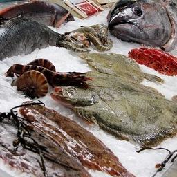 Проблема с нормированием мышьяка в рыбе и морепродуктах не решается уже более 10 лет