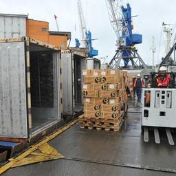 14 января докеры ОАО «Владморрыбпорт» выгрузили за сутки 2,7 тыс. тонн рыбопродукции. Фото пресс-службы компании