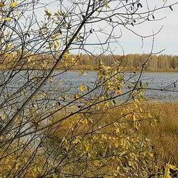 Озеро в Тюменской области. Фото пресс-службы регионального департамента агропромышленного комплекса