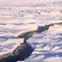 Около сотни рыбаков, проигнорировавших предупреждение об опасности, оказалось на оторвавшейся льдине