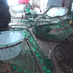 Судно оказалось оборудовано под добычу и переработку ценного биоресурса. Фото пресс-службы ПУ ФСБ России по Сахалинской области