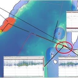 Перспективные районы (выделены красным) и места обнаружения скоплений сардины иваси у берегов Приморья и в проливе Лаперуза. Изображение предоставлено пресс-службой ТИНРО