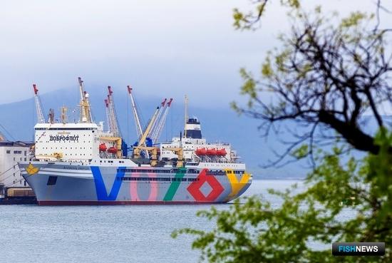 Плавзавод «Всеволод Сибирцев» вновь отправился работать на промысле сардины-иваси и скумбрии. Фото пресс-службы ГК «Доброфлот»