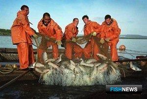 Добыча лосося на Чукотке. Фото с сайта www.rusfishing.ru