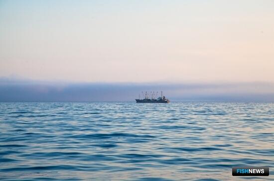 Лондон ратифицировал Договор об открытом море