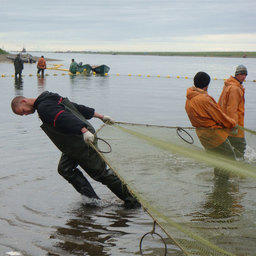 Рыбаки на лососевой путине. Камчатский край