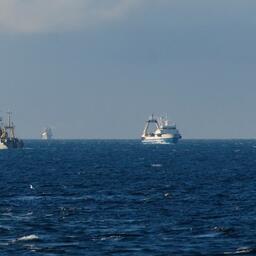 Депутаты планируют в весеннюю сессию рассмотреть изменения закона в рыбной отрасли