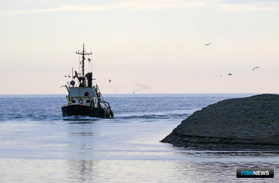 В новой редакции закона о рыболовстве эксперты обнаружили нестыковки в положениях, касающихся прибрежного промысла