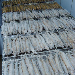 Цех «Белуги» изготавливает продукцию как из собственного сырья, так и из покупной частиковой рыбы
