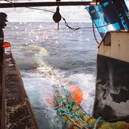 Рыбный промысел на Дальнем Востоке. Фото пресс-службы РРПК