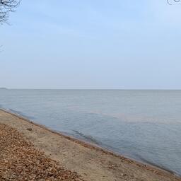 Озеро Ханка — главный промысловый водоем в Приморском крае