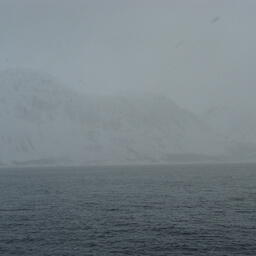 Европейские прибрежные государства согласовали квоту на вылов норвежской весенне-нерестующей сельди на следующий год