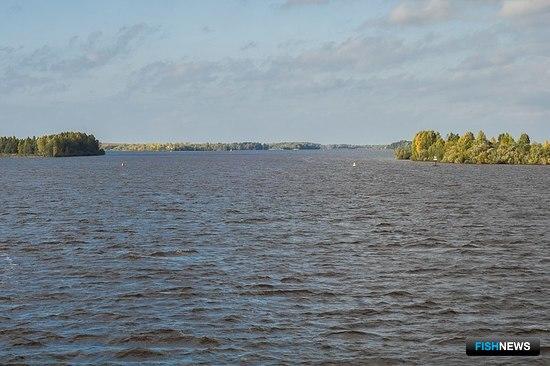 Шекснинское водохранилище. Фото Алексея Задонского («Википедия»)