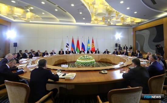 Заседание Высшего Евразийского экономического совета в Сочи. Фото пресс-службы президента РФ