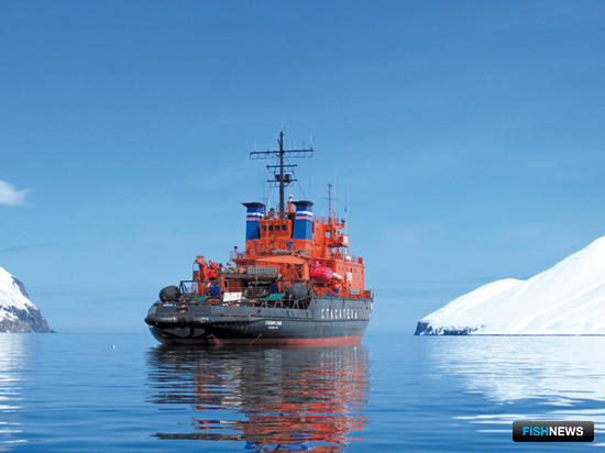 Ледокольно-спасательное судно «Сибирский» у берегов Камчатки. Фото сделано членами экипажа
