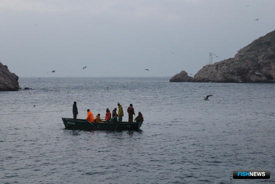 Прибрежный лов в Крыму